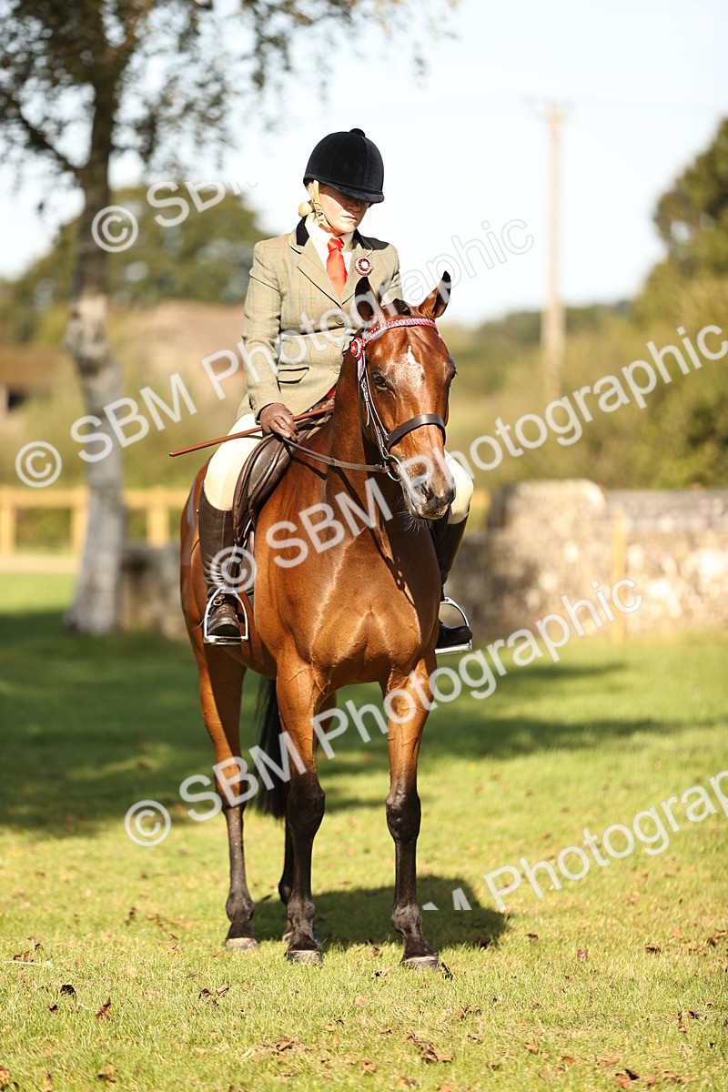 SBM_17015 - S2 - TSR Ridden Pony Showing
