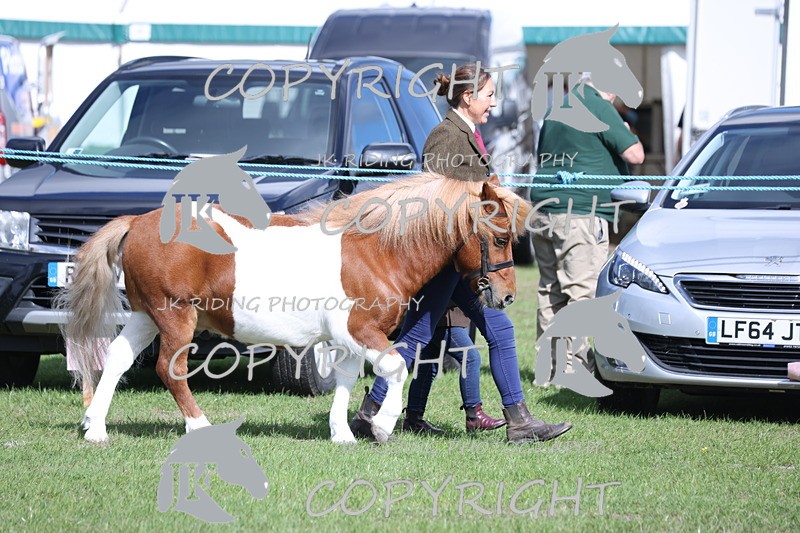 APP_2740 - Class 10a/b M&M in hand