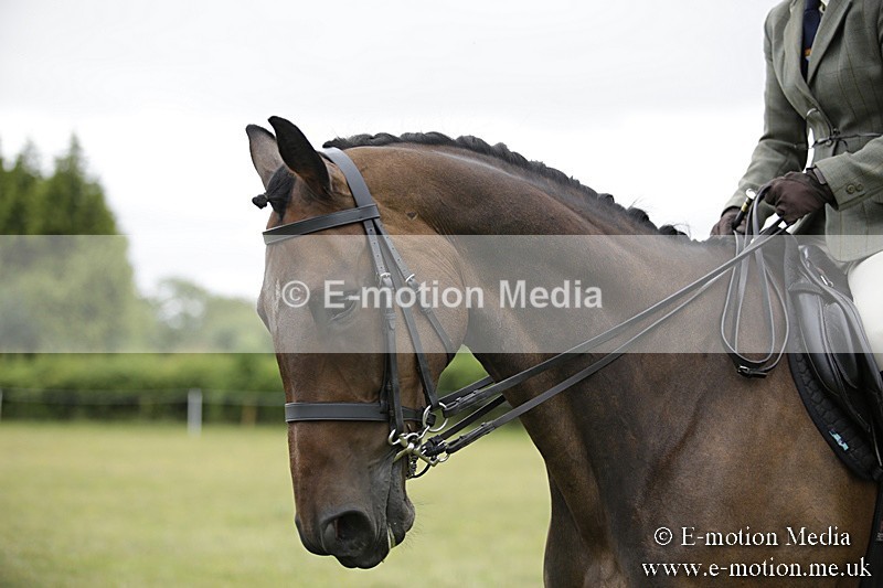 BVR160717-762 - Ring 1 BVRC Show 16/07/17