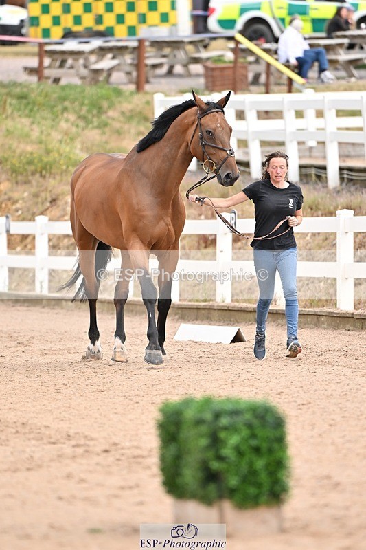 250716-150404-01609 - Trot Up 2.30 to 3.30