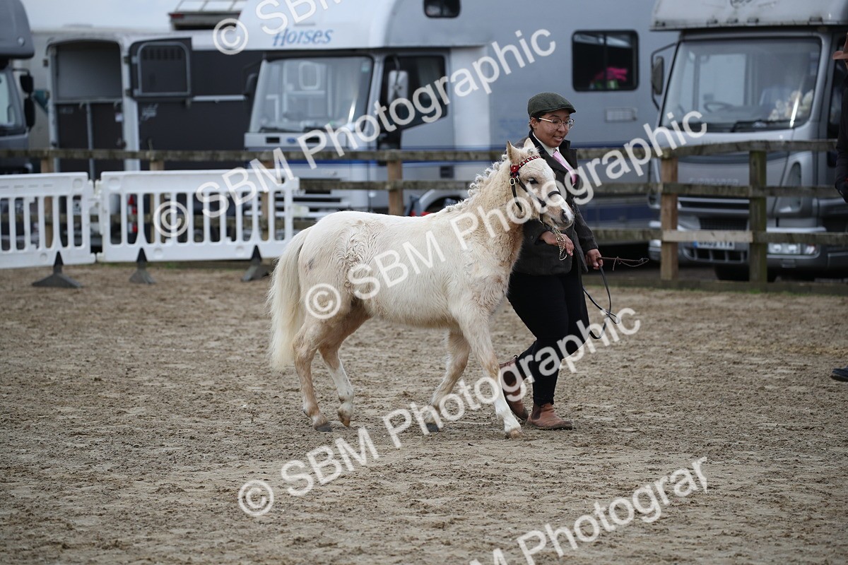 SBM_004577 - Class 5-9 - NPS In Hand-Show Hunter-Intermediate Ridden Inc Ridden Championship