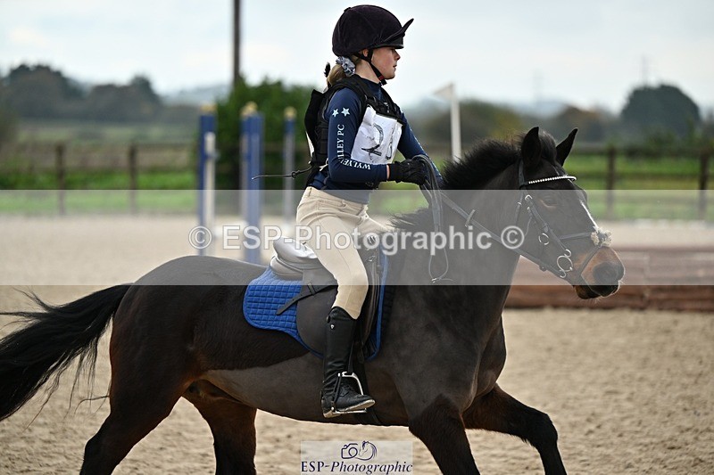 241110-135422-00972 - 60-65cm Arena Eventing