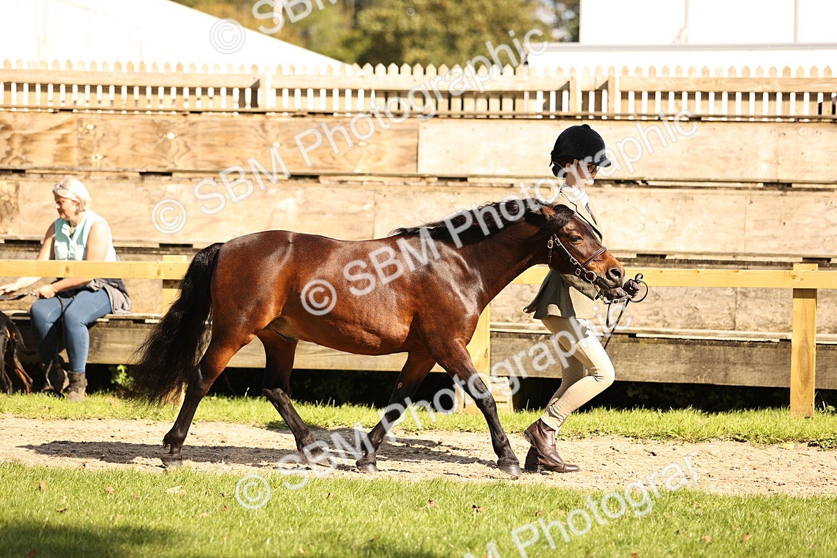 SBM_26146 - S5 - Novice & Newcomers In Hand