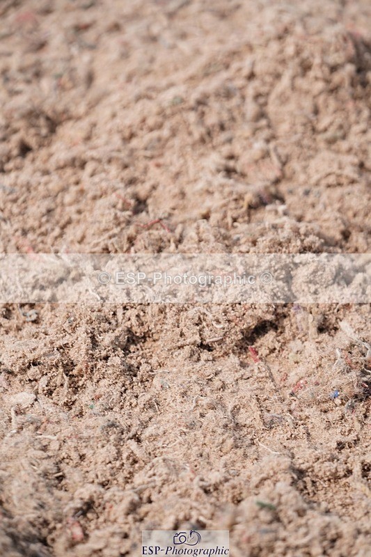 250608-104526-02183 - Cls 5 Pony Discovery and 90cm