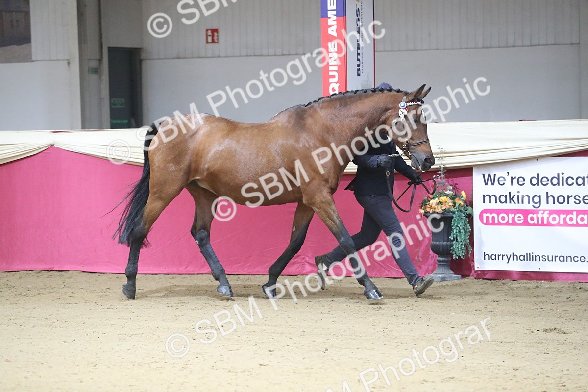 SBM_00234 - Class 1a - Area IH Diamond