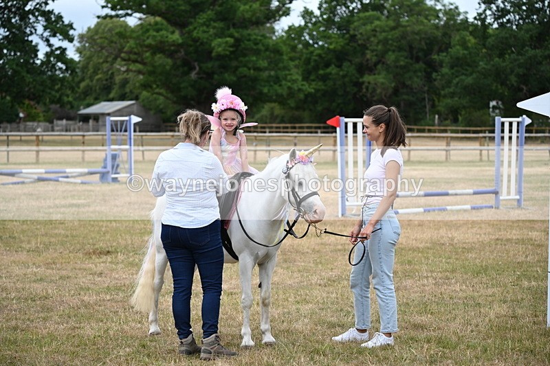 WJ6_4965 - Class 11 Fancy Dress