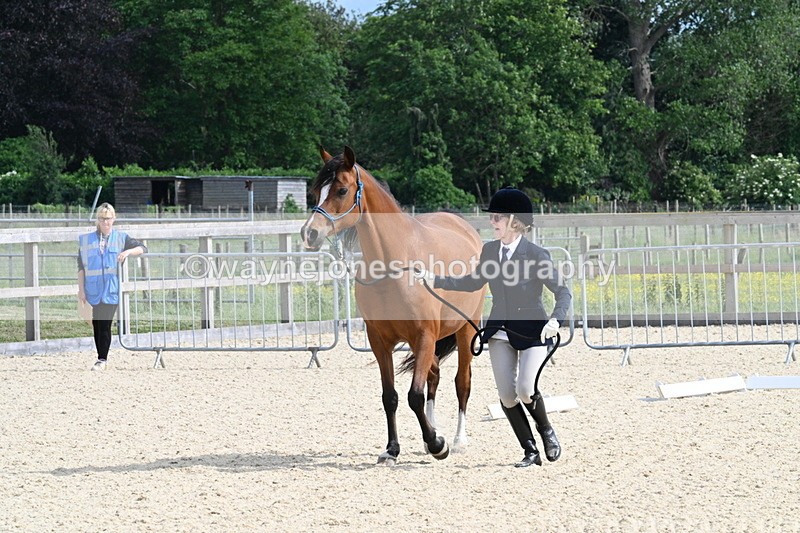 WJ7_8243 - Time 16:10 to 16:25