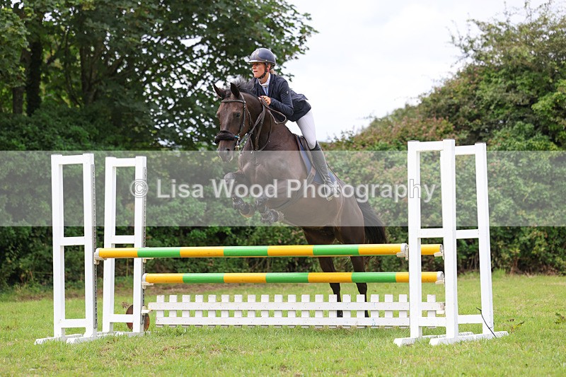 3E7A7346 - Class 5: Senior British Novice/90cm open