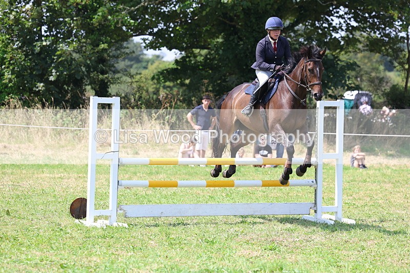 3E7A2956 - Class 7: Senior British Novice/90cm open