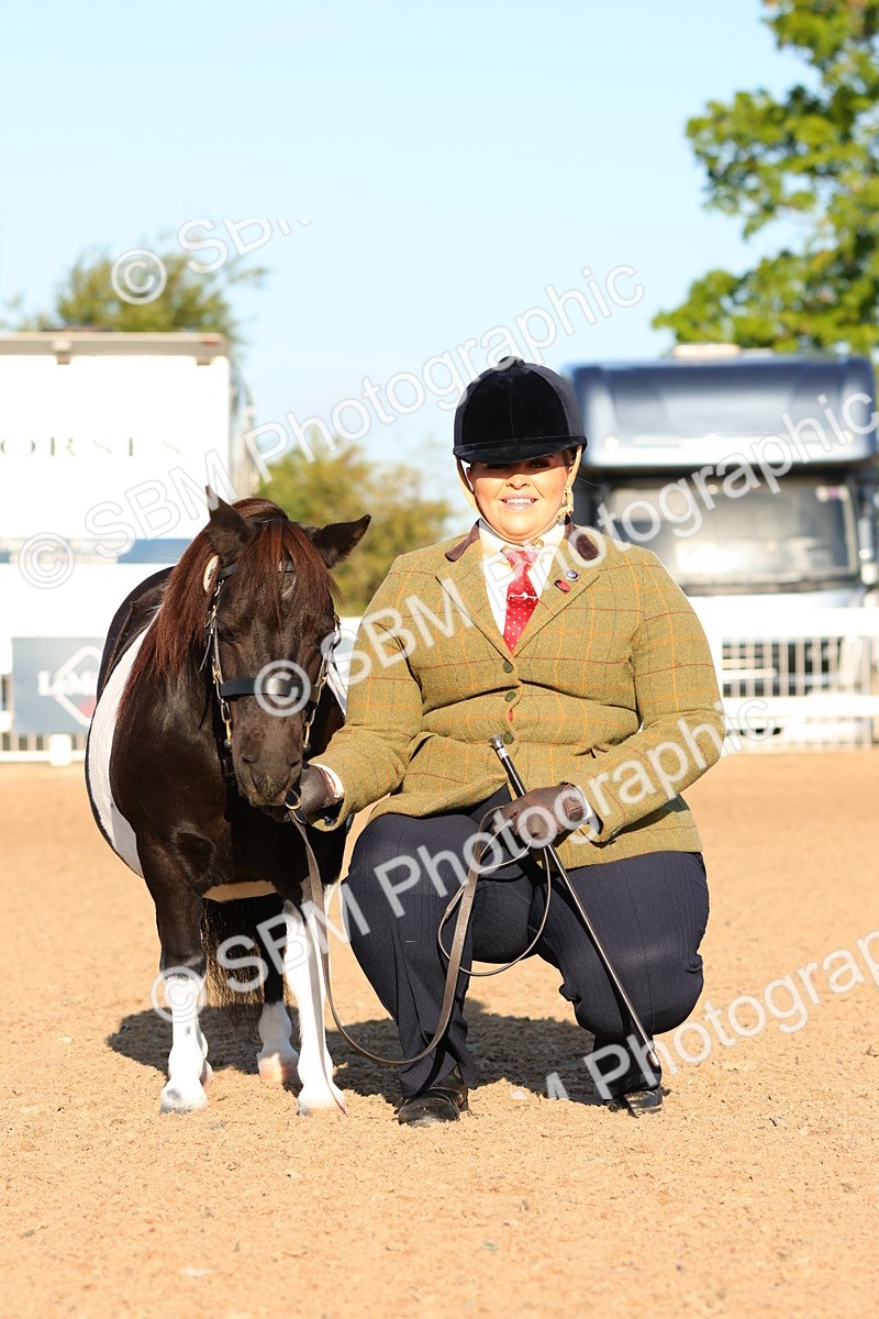 SBM_08018 - Class 201 - Best Turned Out - IH