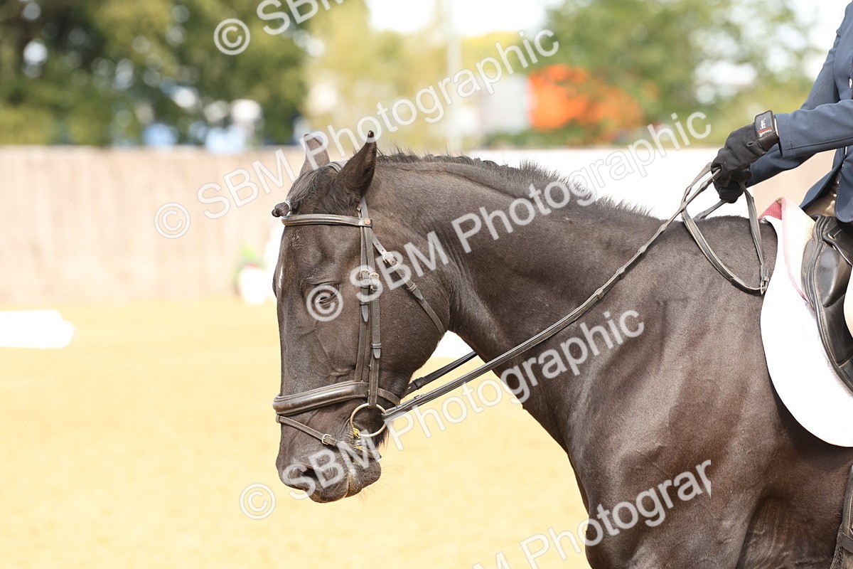SBM_40663 - D6 - Small Tour Championship Intro 4