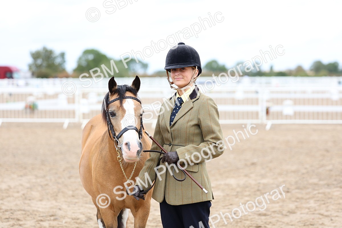 SBM_01476 - Class 17 - Prettiest Mare