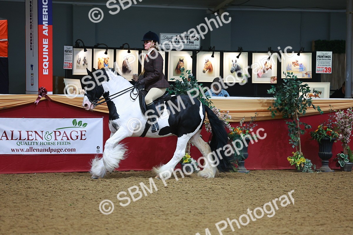 SBM_09754 - Class 102 - HOYS Veteran Qualifier - Ridden Veteran