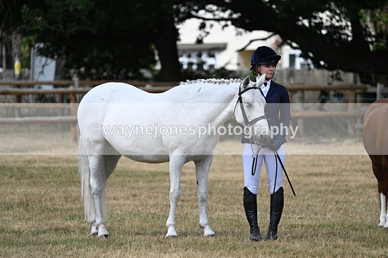 WJ7_1657 - Class 4 Prettiest Mare up to 14.2hh in hand