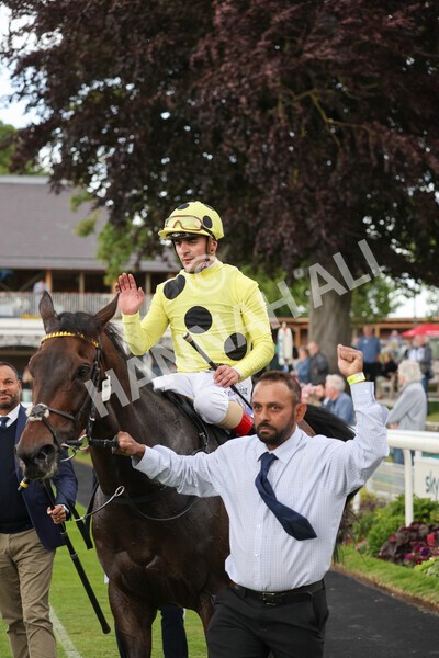 yr11062022r4-32 - Race 4 3.05pm Sky Bet Grand Cup