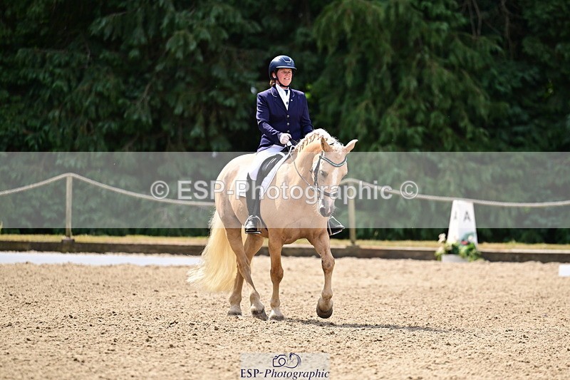 260802A-111311-05740 - Novice Silver break - break