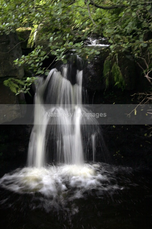 Waterfall - Landscape