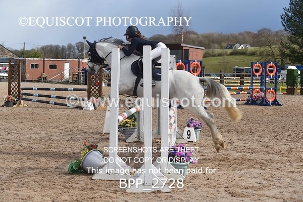 BPP_2728 - CLASS 29 STX-UK Pony BritiNovice / 0.80m Open