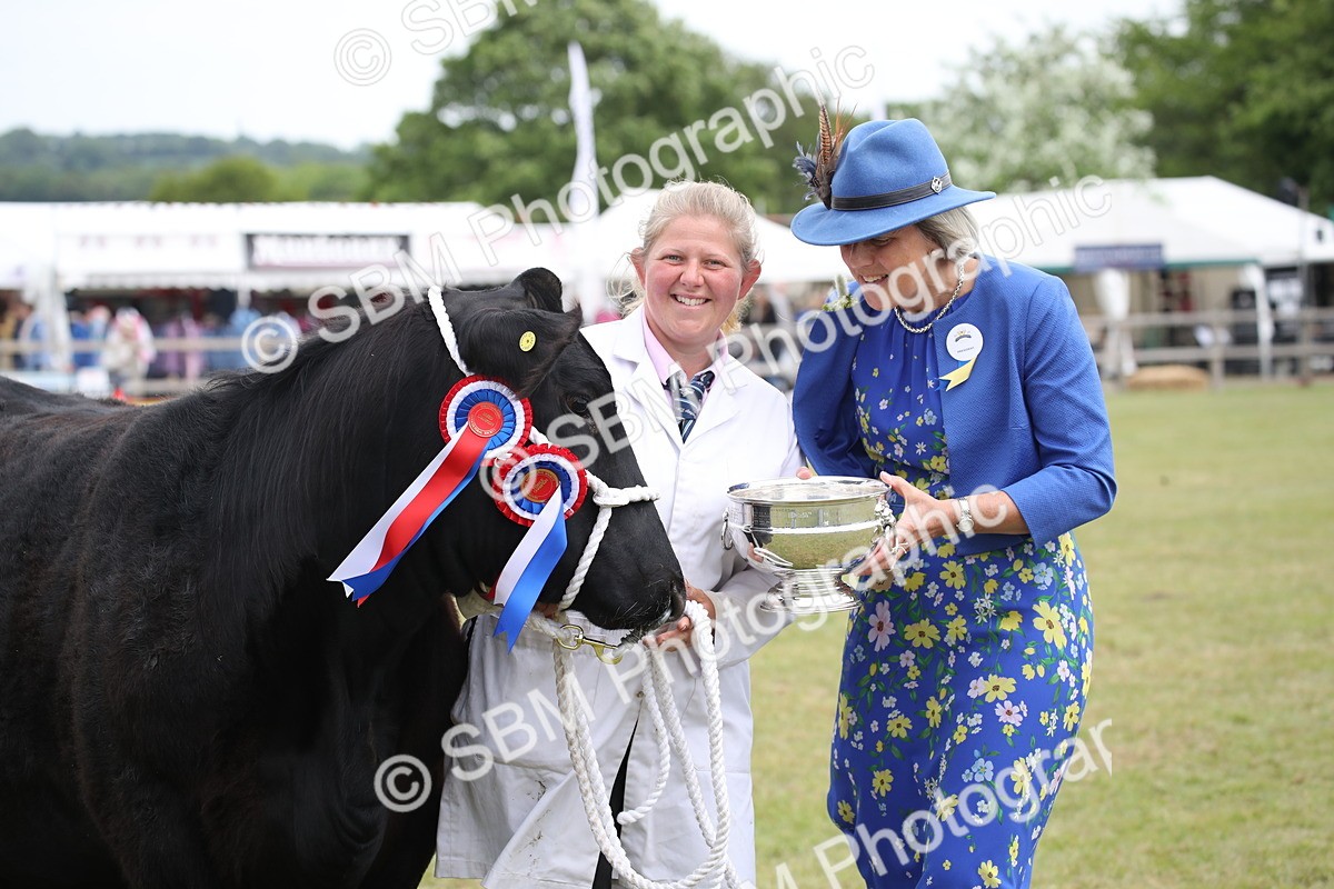 SBM_07951 - Grand Parade