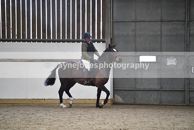 WJ5_7961 - Class 13 Ridden Part Breed