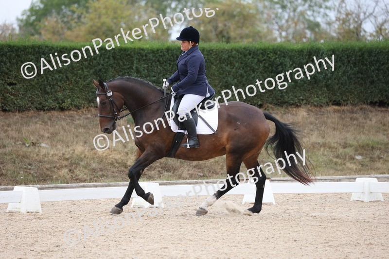 20250820-0264 - Class 9 - My Quest Prelim 3