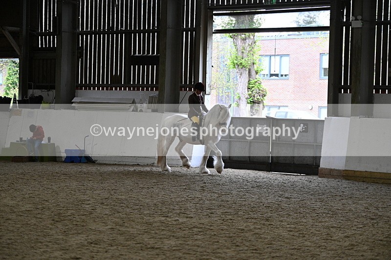 WJ7_3661 - Class 16 Ridden Coloured/ Odd Coloured