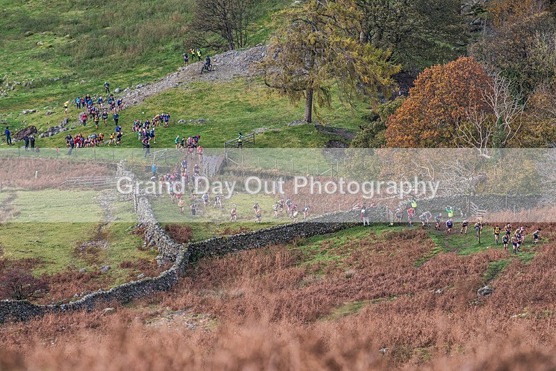 Stybarrow Dodd-103 - Kong Running Stybarrow Dodd Fell Race Saturday 4th November 2023