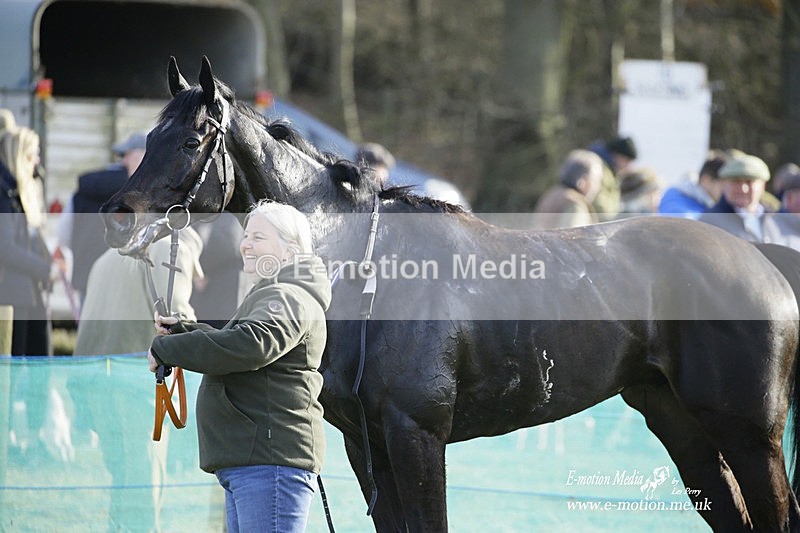 PtP 260222 771 - Kingston Blount Racing Club Point-to-Point 26/02/22