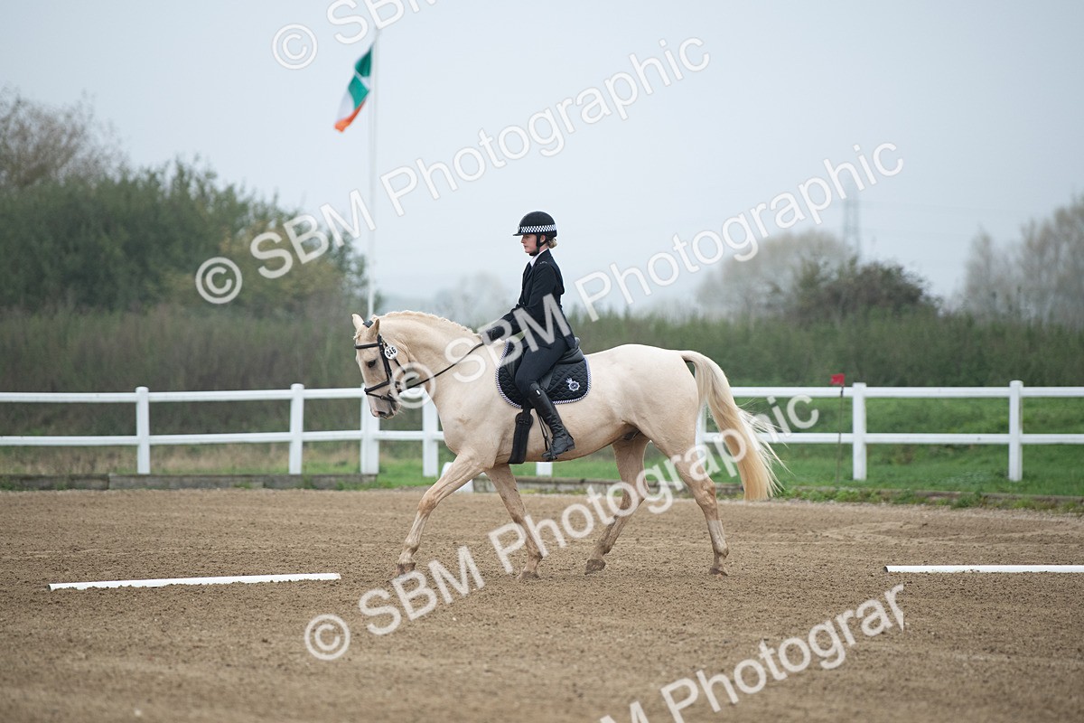SBM_003343 - Introductory Test 3