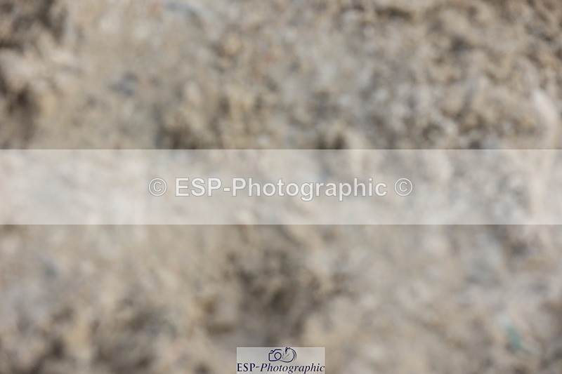 230617-192438-07038 - Cls 10 Pony ShowJumper of the Year