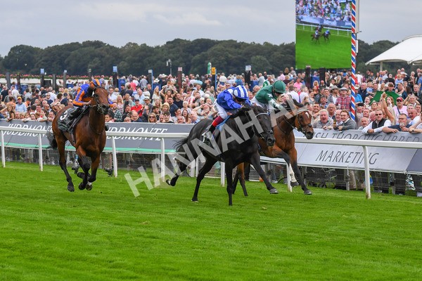 230823-Race 4-Mostahdaf-0585 - Race 4 3.35pm Juddmonte International Stakes