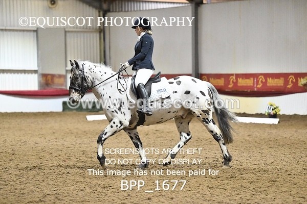 BPP_1677 - PC NOVICE DRESSAGE