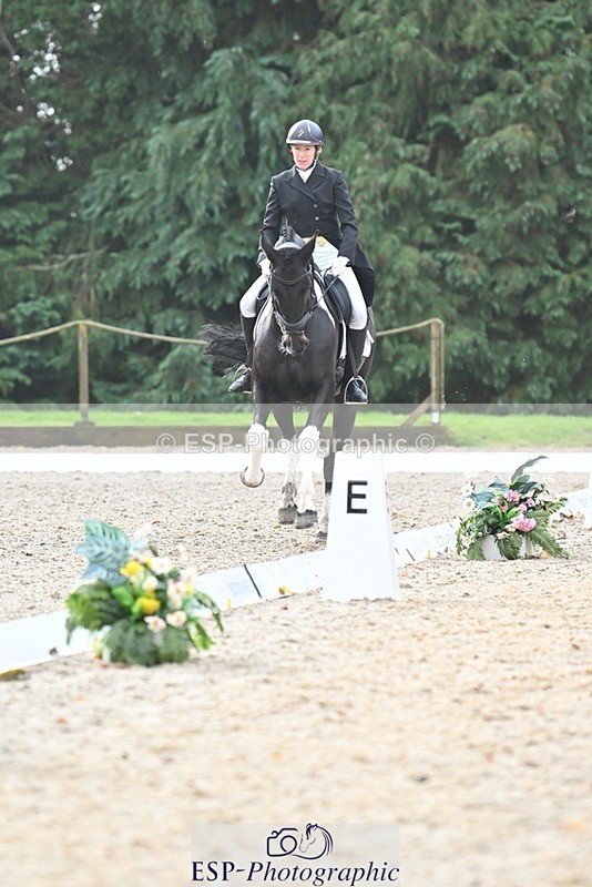 231019-103533-01897 - 101-RICARDO.COLOURS.II-Elizabeth.Wadey-DR