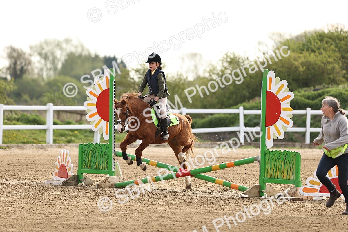 SBM_003037 - Class 1 - 40cm