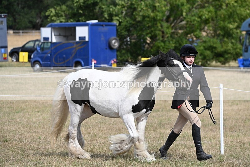 WJ6_6462 - Class 20 In-hand Cob