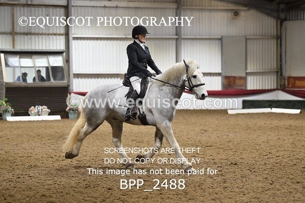 BPP_2488 - NOVICE TEST 4