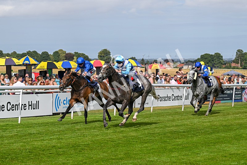 140824-Race 5-Havana Blue-6683 - Race 5