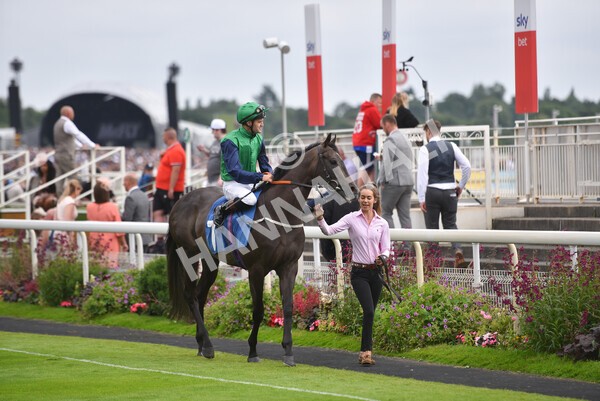 yr24072021r7-36 - Race 7 5.35pm The Sporting Life Fast Results Stakes