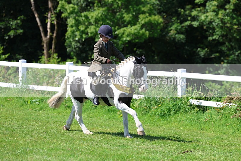 3E7A6853 - Working Hunter Pony Championship