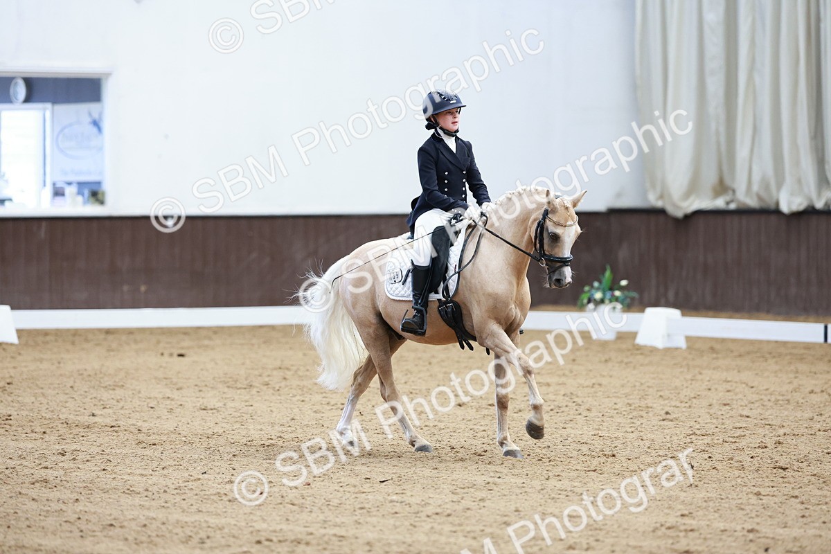 SBM_017398 - Class15 - FEI Pony