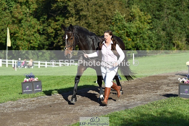 231022-104552-22723 - 483-LOPSHILL.ANNIE-Katie.Timberlake-TrotUp+SJ