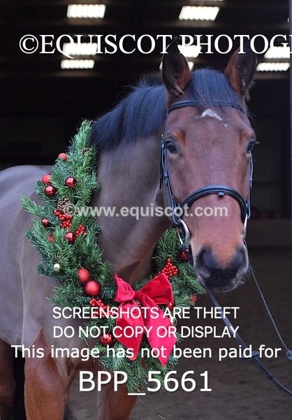 BPP_5661 - Imogen Gray