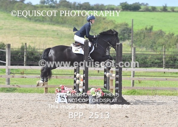 BPP_2513 - DERBY CLASS 7 - 80CM