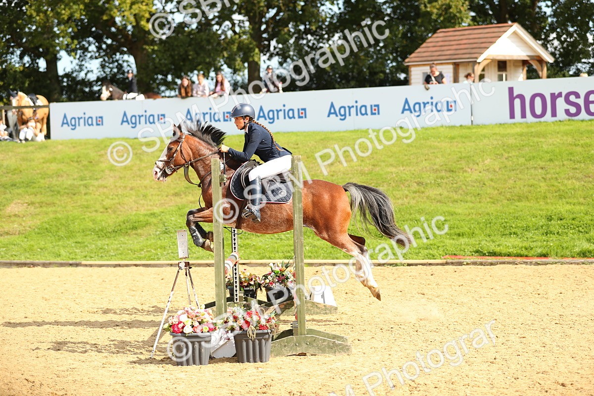 SBM_67912 - J17 - Junior Pony 80cm Championship
