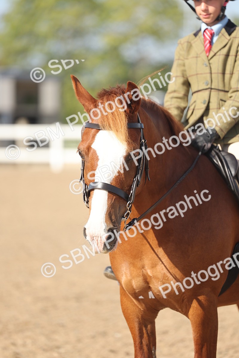 SBM_22630 - Class 804 - Ridden Veteran Pony