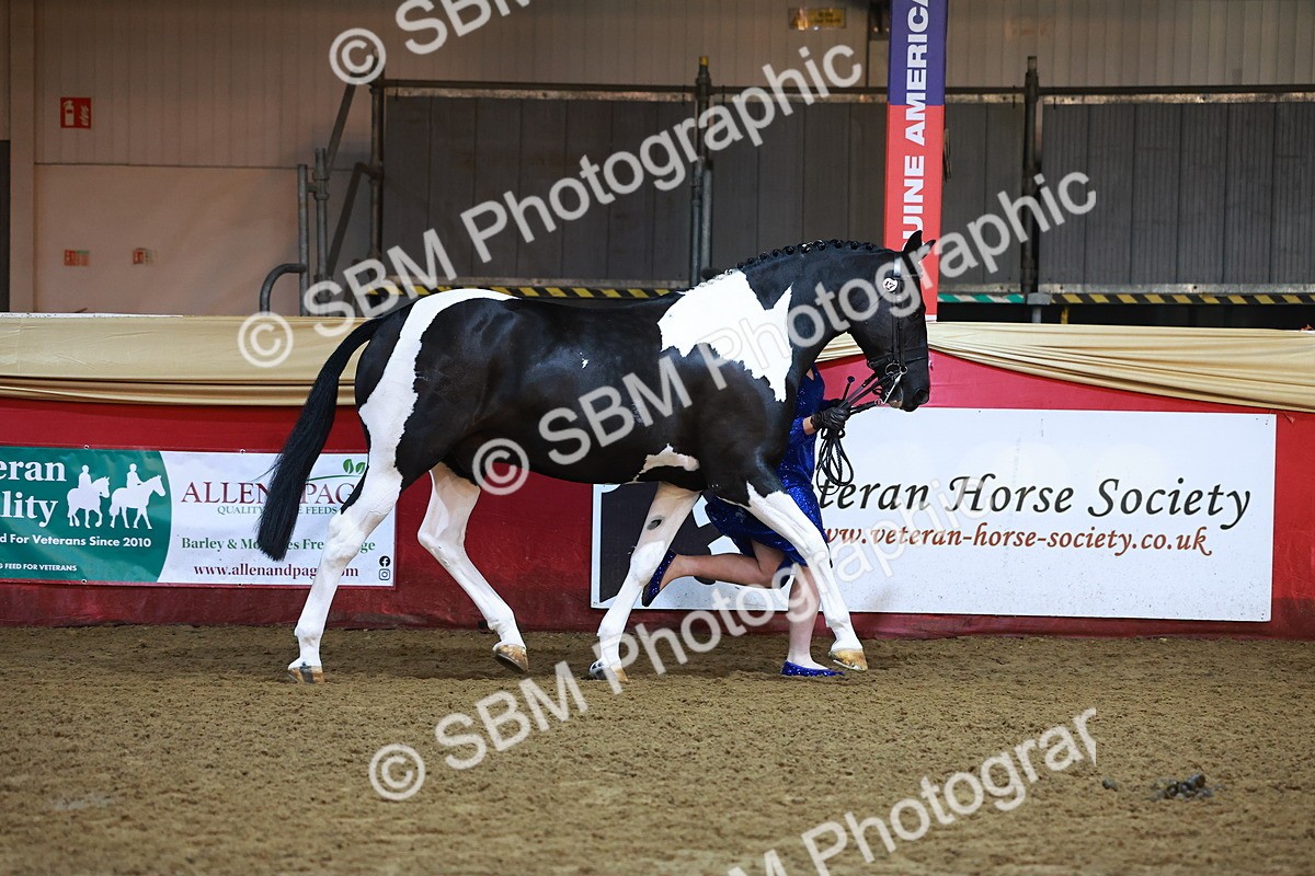 SBM_14805 - Class E - Best Turned Out Champ