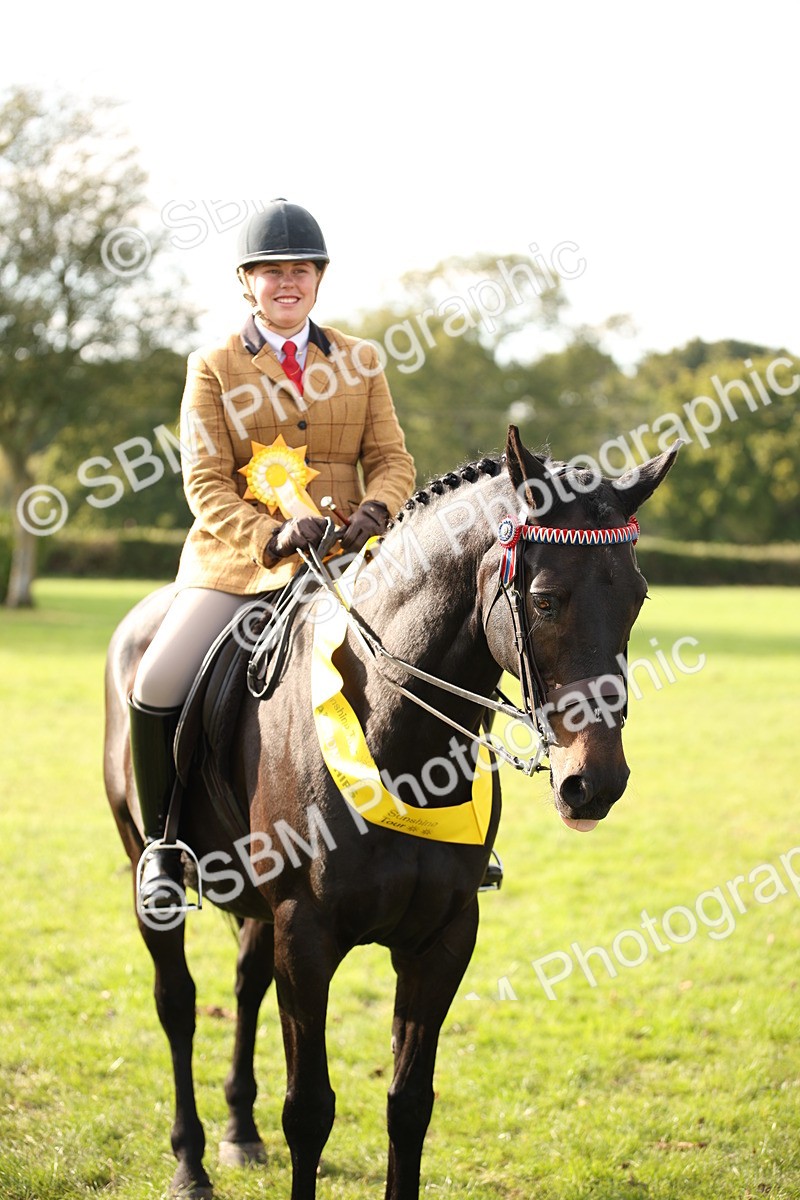 SBM_50247 - S26 - Young Veteran - Ridden