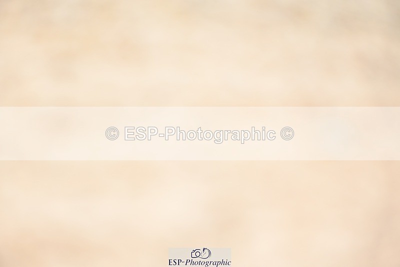 230813-141834-07727 - Cls 13 Medium Bronze 13.15 to End