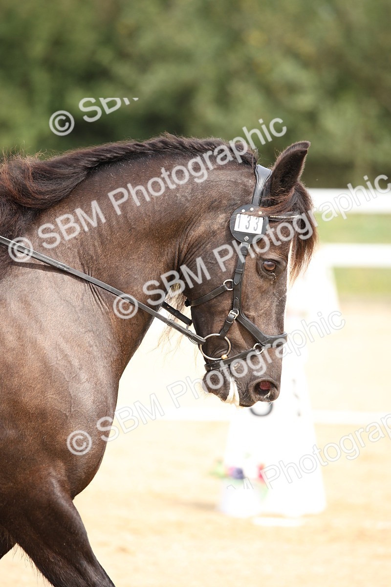 SBM_019757 - Class 22 - Medium 73 - 10.36 11.32