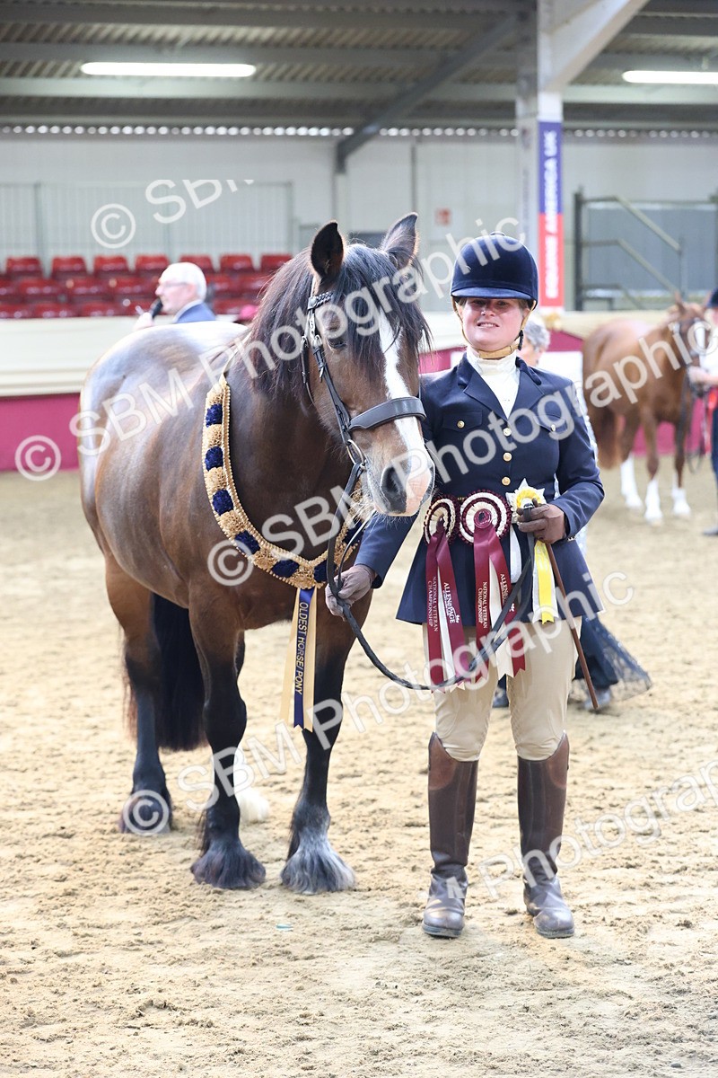 SBM_21916 - Class 901 - Supreme Final - IH  Diamond